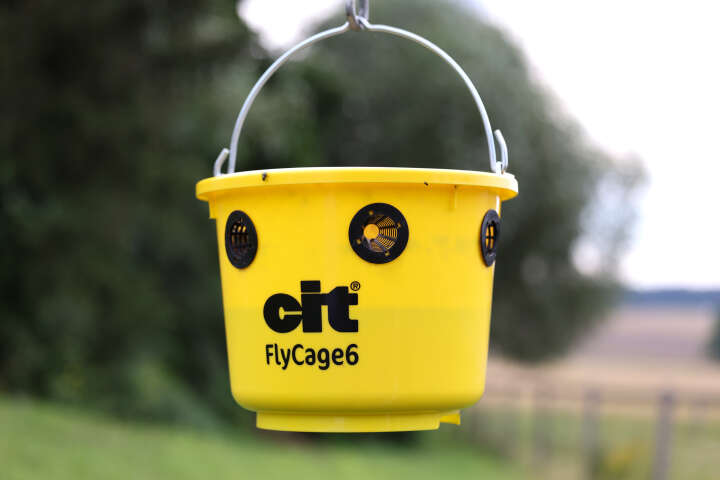 cit Fliegenfalle FlyCage inklusive Lockstoff